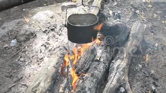食物露营在森林的篝火上做饭视频的预览图
