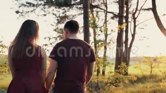 美丽的日落恋人在森林里散步女人牵着手抚摸树叶慢镜头Stedicam镜头后视图视频的预览图