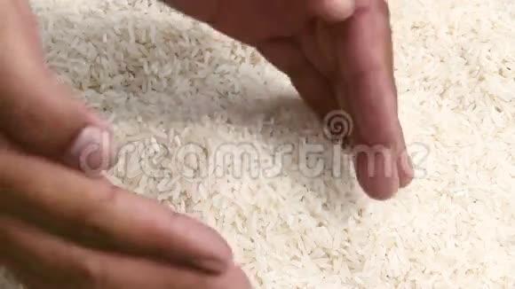 手中的米粒视频的预览图