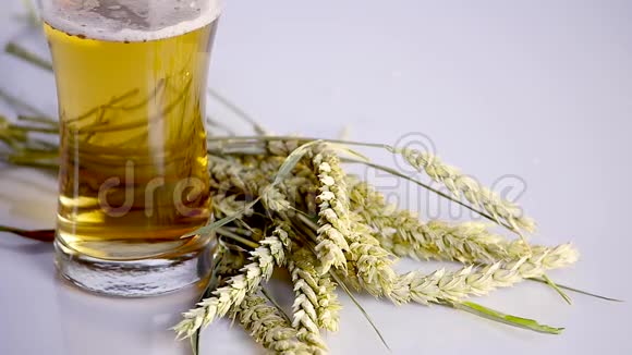 啤酒倒在白色背景上的玻璃上上面有一堆小麦关门视频的预览图