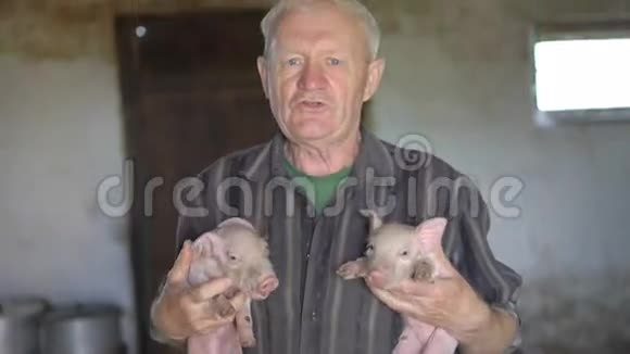 老人手上拿着两只小猪微笑着向他们唱歌4K视频的预览图