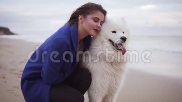 年轻的女人坐在沙滩上拥抱着她在海边的萨莫伊德品种的狗海滩上的白色毛茸茸的宠物视频的预览图