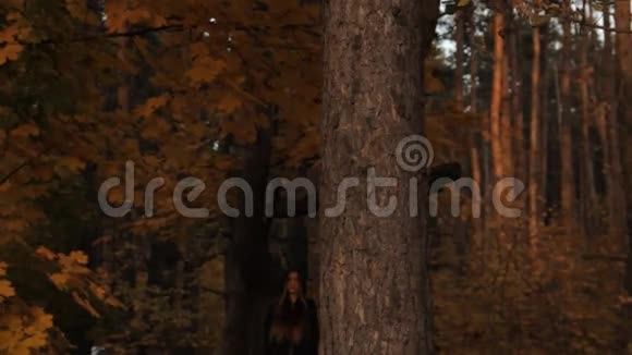 一个头发松松的戴着兜帽的女孩用手扶着一棵树摘下兜帽闷闷不乐地环顾四周视频的预览图