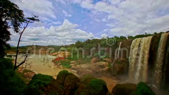 热带丘陵间的大象及岩石剪影视频的预览图