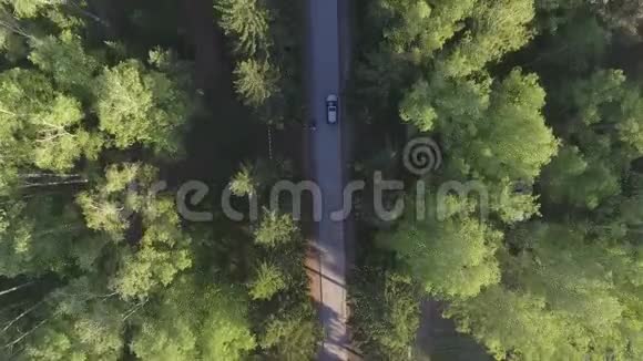 森林全景从上面走使用无人机拍摄的视频树的俯视图树上的路视频的预览图