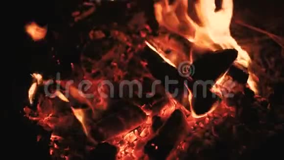 靠近熊熊燃烧的篝火4K视频的预览图