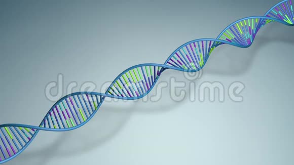 蓝色绿色和紫色的长DNA序列在蓝色背景上缓慢旋转3D动画视频的预览图