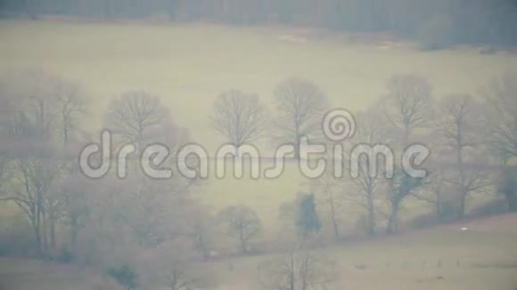 英格兰南部的田野和森林视频的预览图