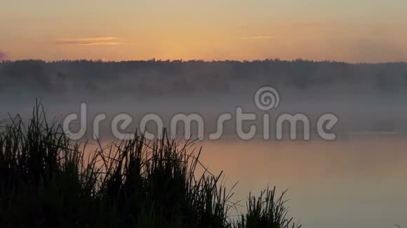 在夏日灿烂的夕阳下的一个湖它被雾覆盖了视频的预览图