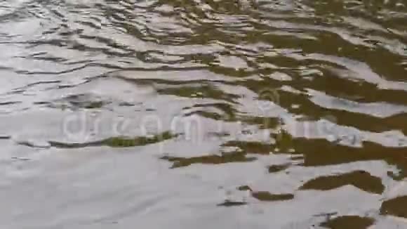 水的质地是河上的深色视频的预览图