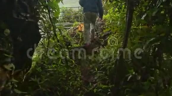 背面的人在公园热带雨林中的瀑布视频的预览图
