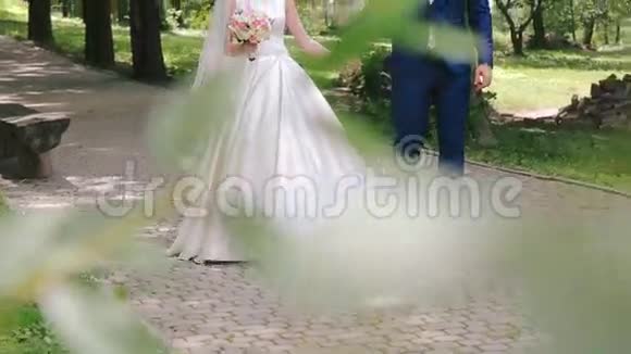 优雅的新婚夫妇走在公园的小巷里视频的预览图