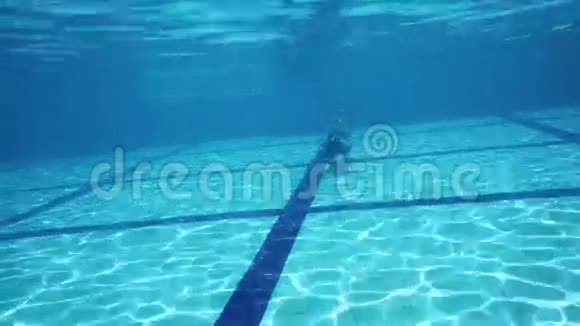 男孩在游泳池里游泳视频的预览图
