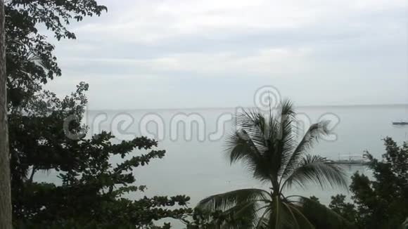 菲律宾大海和棕榈树背景上的美丽景色视频的预览图