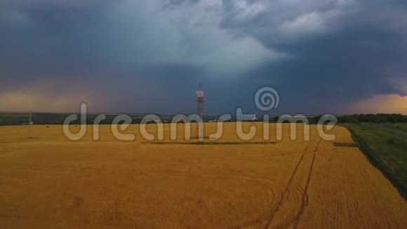 乌云密布的地平线上有雨和闪电在麦田前空中拍摄视频的预览图