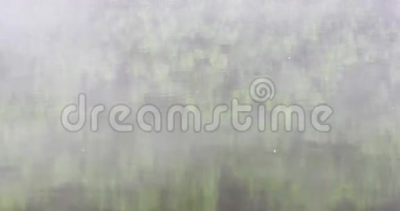 早晨的薄雾在河上视频的预览图