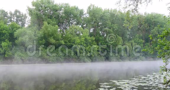 早晨的薄雾在河上视频的预览图