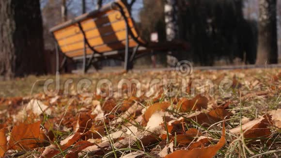 大约在秋天公园的长凳上视频的预览图