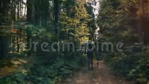 人走在森林小径上手里拿着一根棍子视频的预览图
