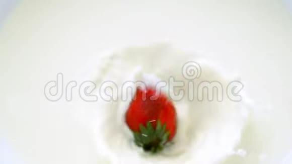 成熟的草莓落入新鲜牛奶中视频的预览图