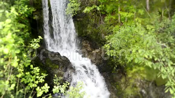 小河瀑布流绿树成荫山崖成林令人叹为观止4k稳定的野生景观拍摄视频的预览图