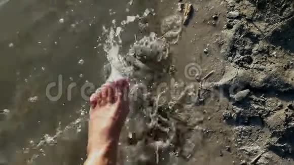 夏天一只雌性的腿在斯洛文尼亚的湖岸上打水视频的预览图