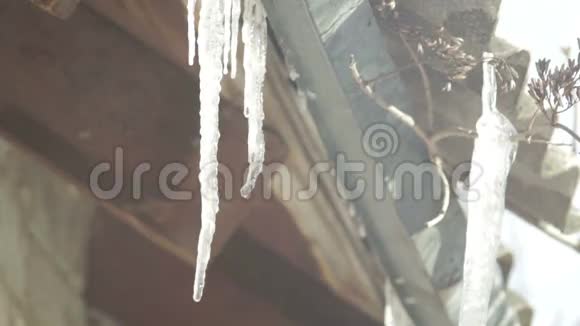 冰柱屋顶悬挂在屋顶在滴水的冬天春天温暖的自然视频的预览图