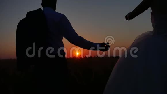 一对握着手的剪影一对夫妇牵着手看着剪影美丽的日落自然视频的预览图