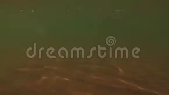 射海沙底视频的预览图