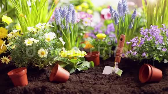 花园工具和花园艺概念视频的预览图
