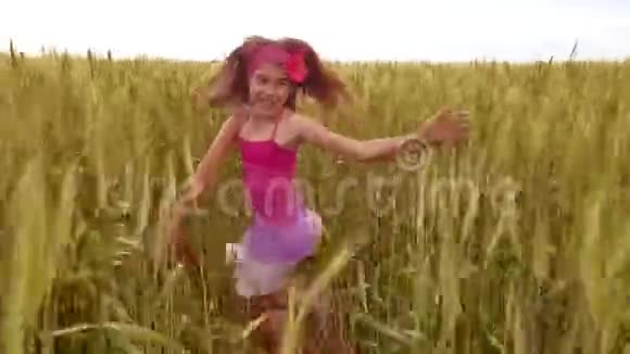 快乐的奔跑女孩在麦田的阳光下女孩穿过黄色的户外麦田视频的预览图