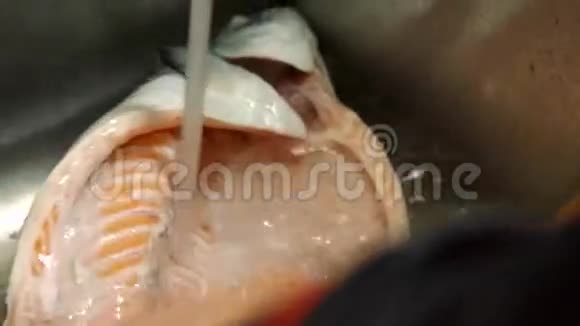 人的手洗大鱼视频的预览图