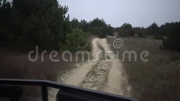 在一片罕见的松树林中沿着乡间小路沿着沙滩快速行驶视频的预览图