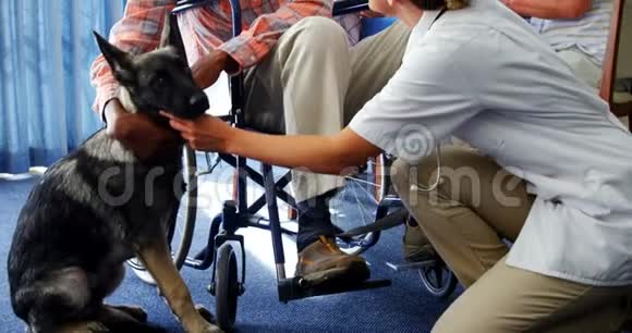 女医生和残疾老人在养老院抚摸狗狗4k视频的预览图