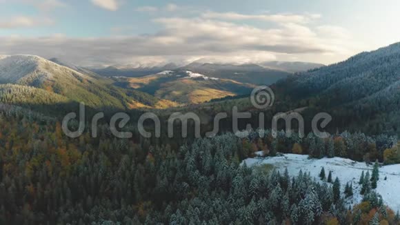秋天或冬天秋天的森林和雪山视频的预览图