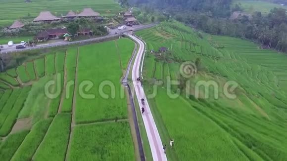 空中人们在巴厘岛的稻田里视频的预览图