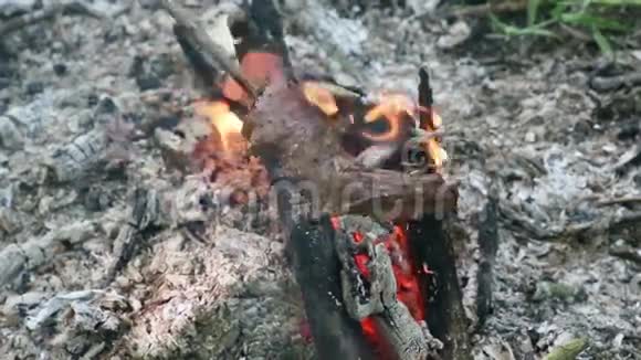 篝火在夏林燃烧视频的预览图