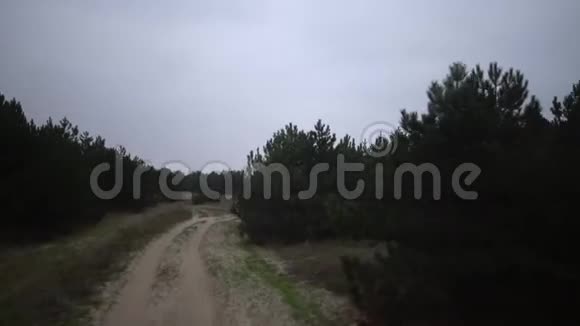 在一片罕见的松树林中沿着乡间小路沿着沙滩快速行驶视频的预览图