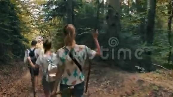 一群游客走出树林沿着森林小径散步视频的预览图