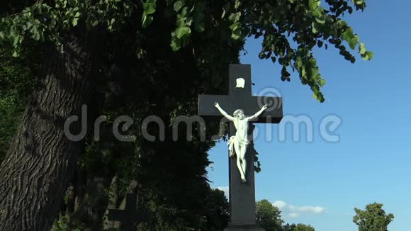 耶稣基督在十字架上在林登树下在朝圣教堂附近视频的预览图