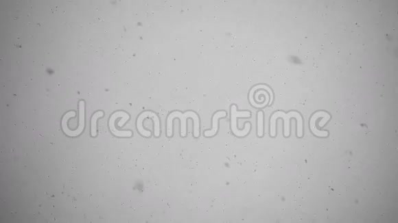 降雪颗粒冬季背景4k视频视频的预览图