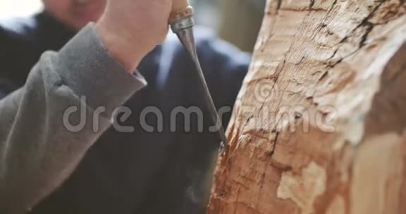 年轻的木匠用凿子塑造木头视频的预览图