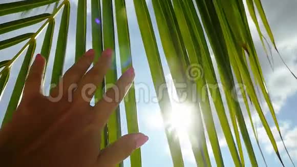 雌手触掌叶与太阳女子享受明亮的热带阳光与镜头耀斑效果慢动作视频的预览图
