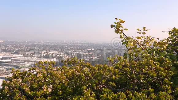 加州美丽的下午城市景观拍摄视频的预览图