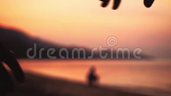 浪漫的情侣在令人惊叹的日落时分牵手在海滩上散步快乐的年轻夫妇享受海洋日落视频的预览图