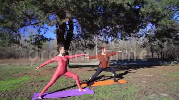 一起做瑜伽健身运动的战士姿势在森林日落视频的预览图