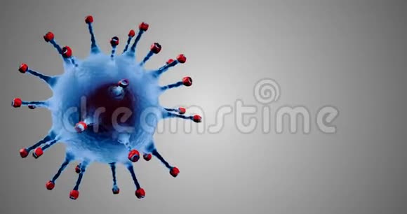 3D绘制动画蓝色冠状病毒细胞covid19流感在灰色梯度背景和色度键绿色屏幕上流动视频的预览图