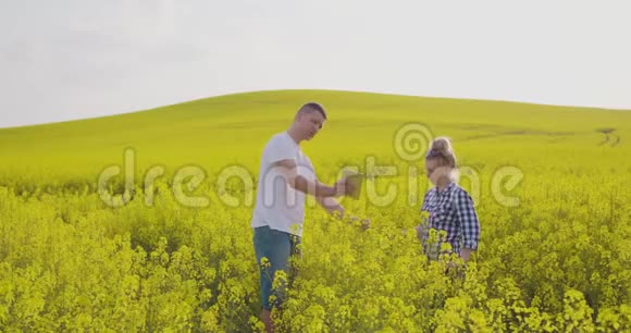 农民讨论油菜田数字化平板视频的预览图