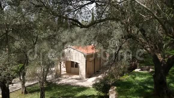 在橄榄树林里有瓷砖屋顶的房子视频的预览图