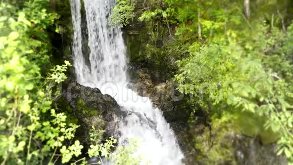 小石崖山林河瀑绿树野生自然景观4k稳观视频的预览图